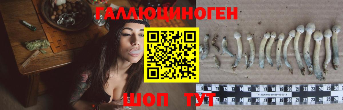 Дербент  Галлюциногенные грибы мухоморы  Вход с VPN 